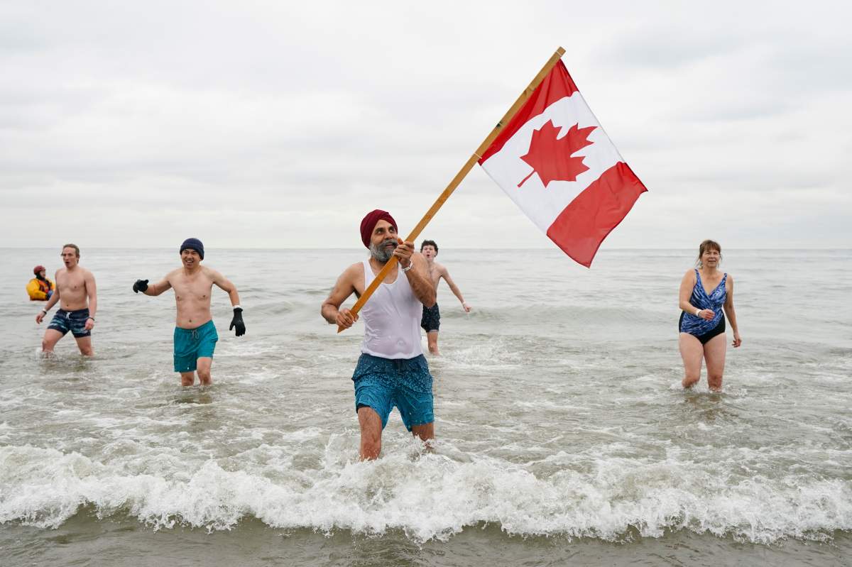polar bear dip