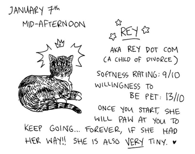 One cat, Rey, got a 13/10 for willingness to be pet.