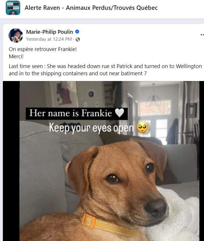 Montreal captain Marie-Philip Poulin asks for the public’s help in finding Frankie, a dog that belongs to her teammate Kristin O’Neill’s sister.