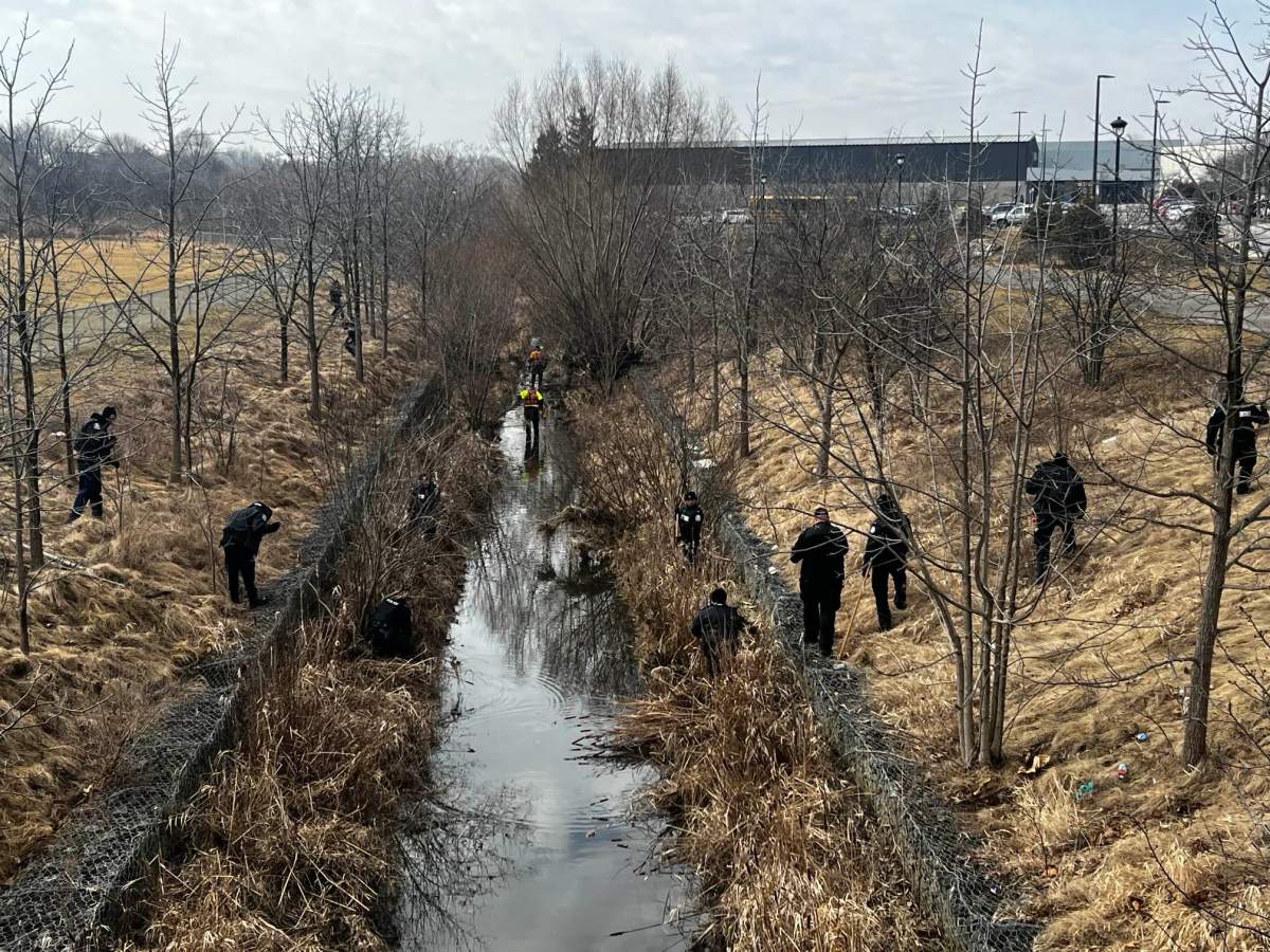 Photo of police officers searching forage beside a waterway in Stoney Creek, Ont.