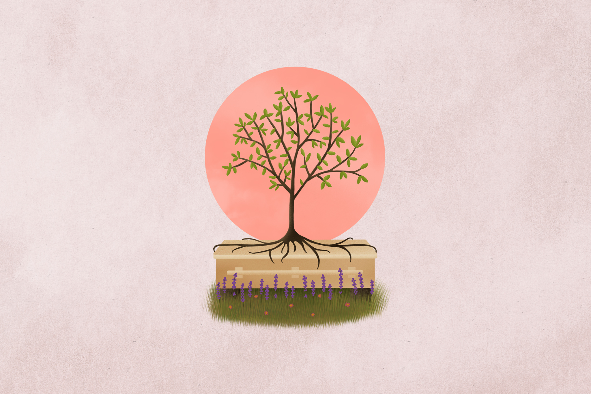Life beyond death: A look at the growing trend of green burials feature image.