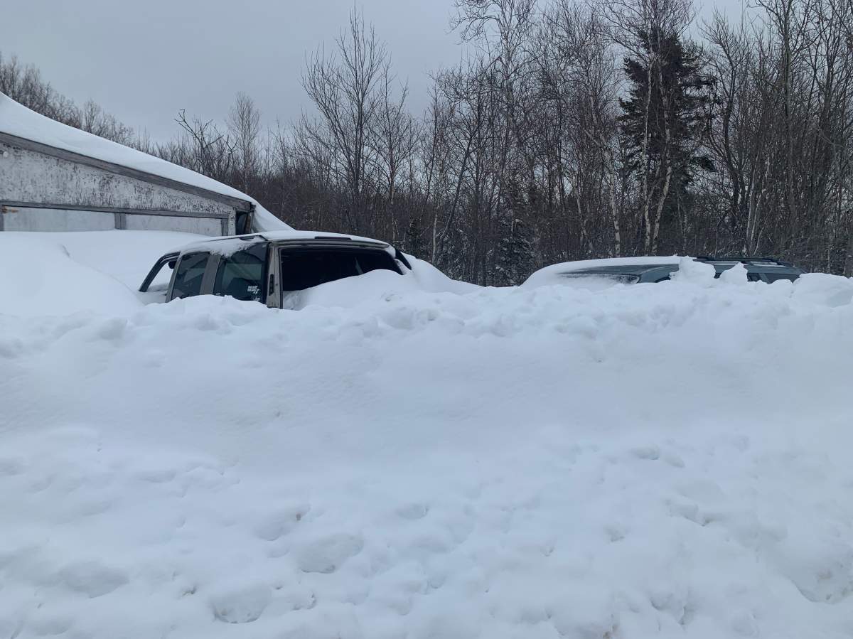 Vehicles are buried under snow in Westville, N.S. in Pictou County on Feb. 7, 2024.