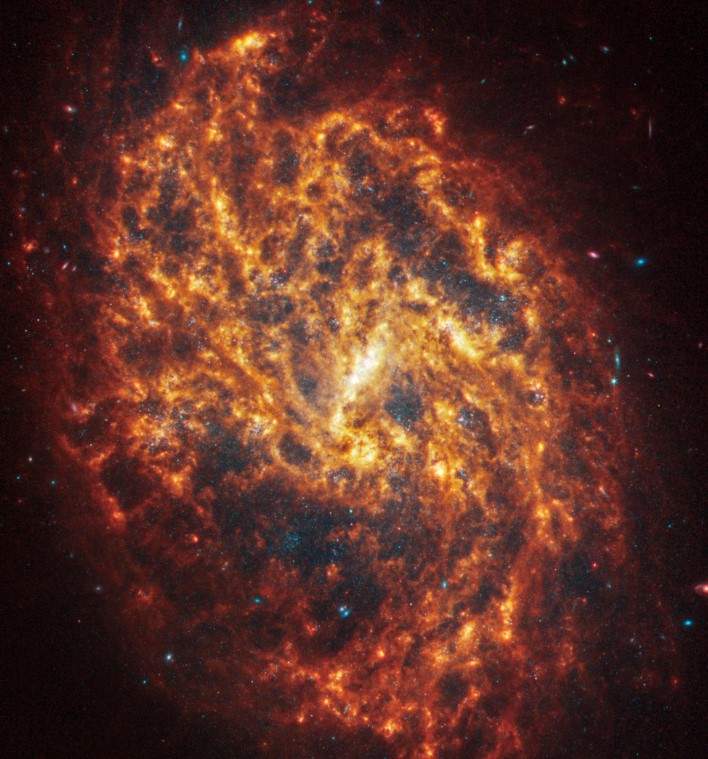 Spiral galaxy NGC 1087 is 80 million light-years away in the constellation Cetus.