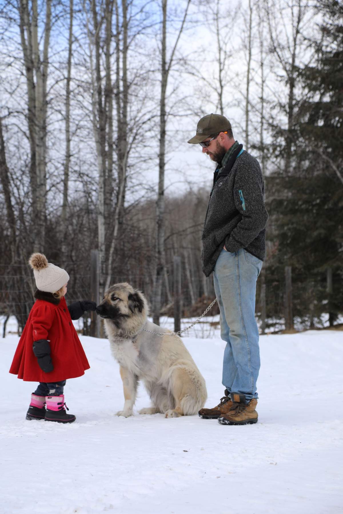 Pearl is a member of the family and helps keep wolves and bears away from the property.