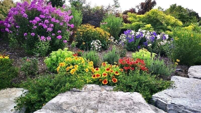 garden in full bloom