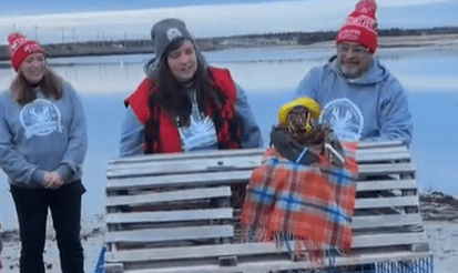 Lucy the Lobster, wearing a sou’wester hat, also made a Groundhog Day prediction.