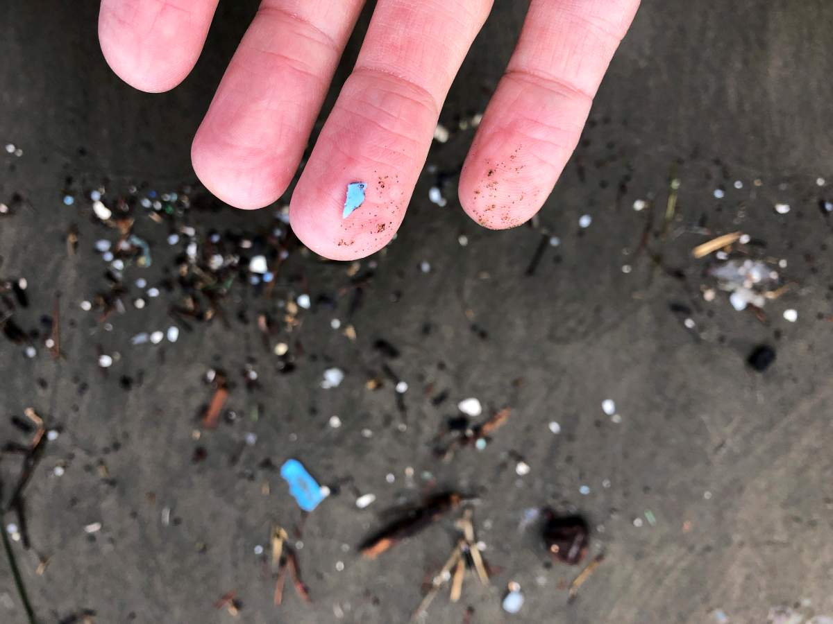 Microplastics