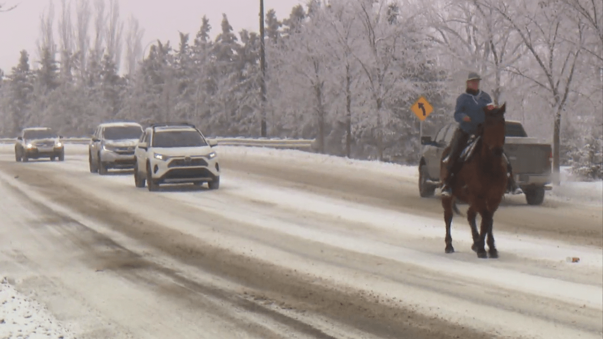 Shelby Opheim rides her horse Charlie down the streets of High River, Alta.