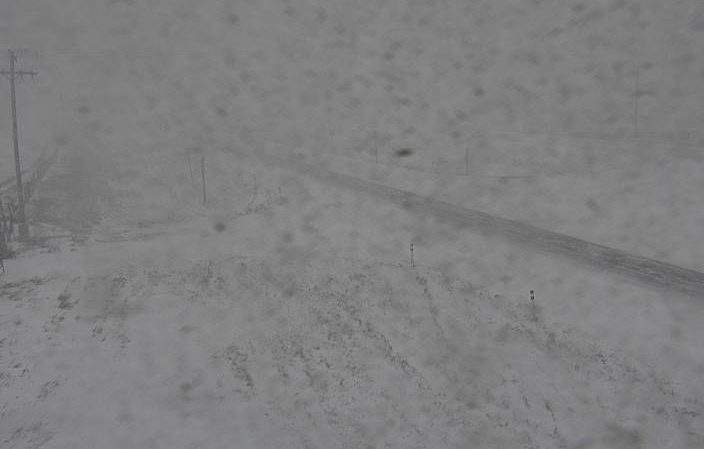Whiteout conditions pictured on Alberta 511 traffic cameras near Hwy 22 at Hwy 1, west of Calgary.