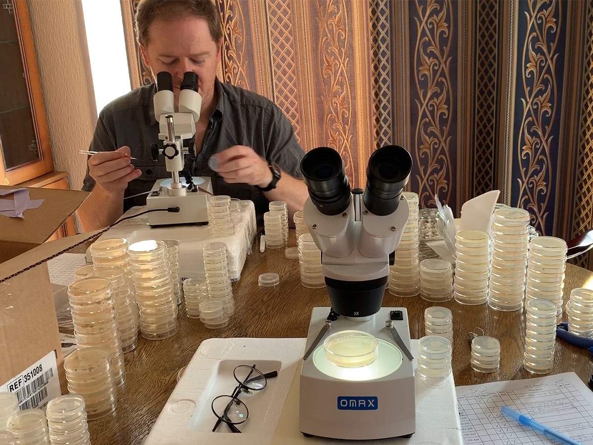 Matthew Rockman looks at nematodes under a microscope in a makeshift lab in a Kyiv hotel.