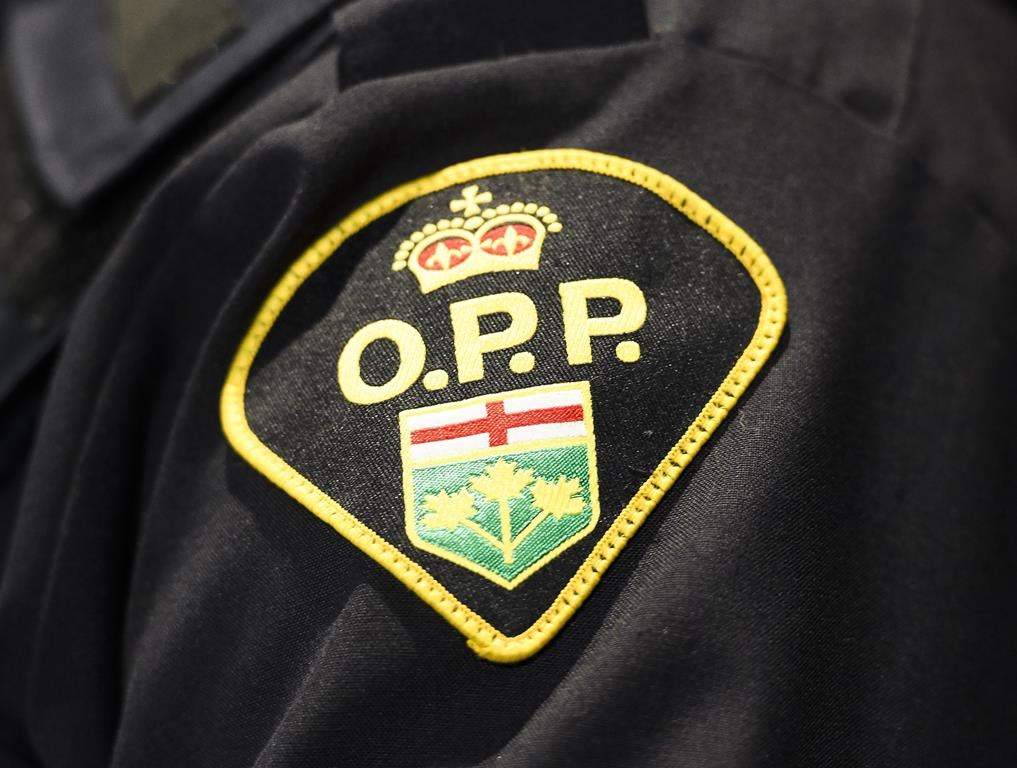 A closeup of an OPP crest on a shirt.