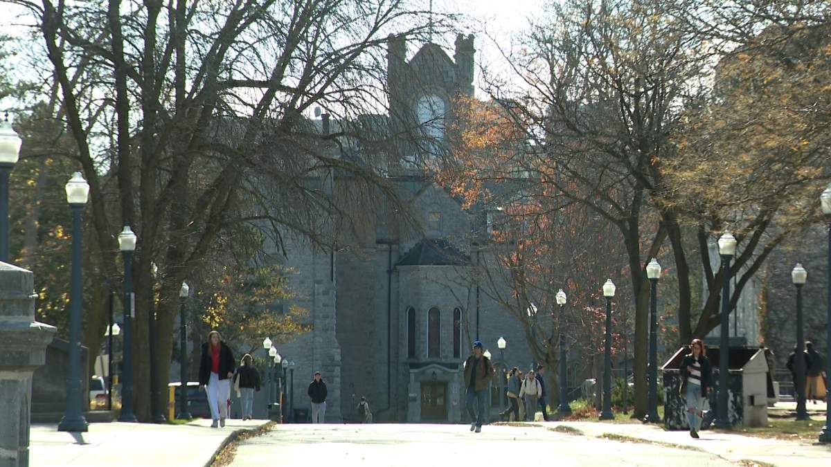 Ontario's latest budget not up to snuff for the province's post-secondary institutions, according to Liberal MPP Ted Hsu.