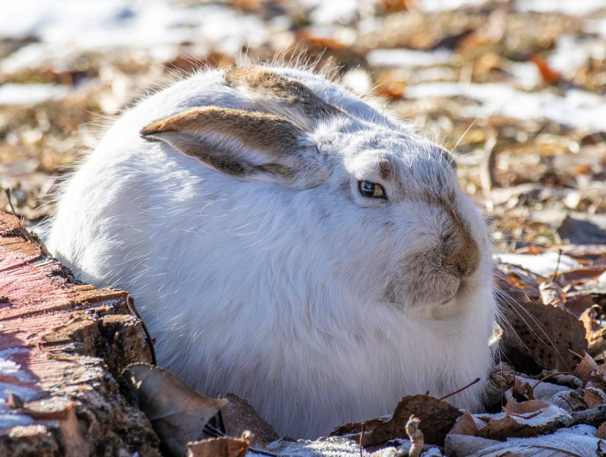 The Your Saskatchewan photo of the day for March 31 was taken by Cathy Wall in Regina.
