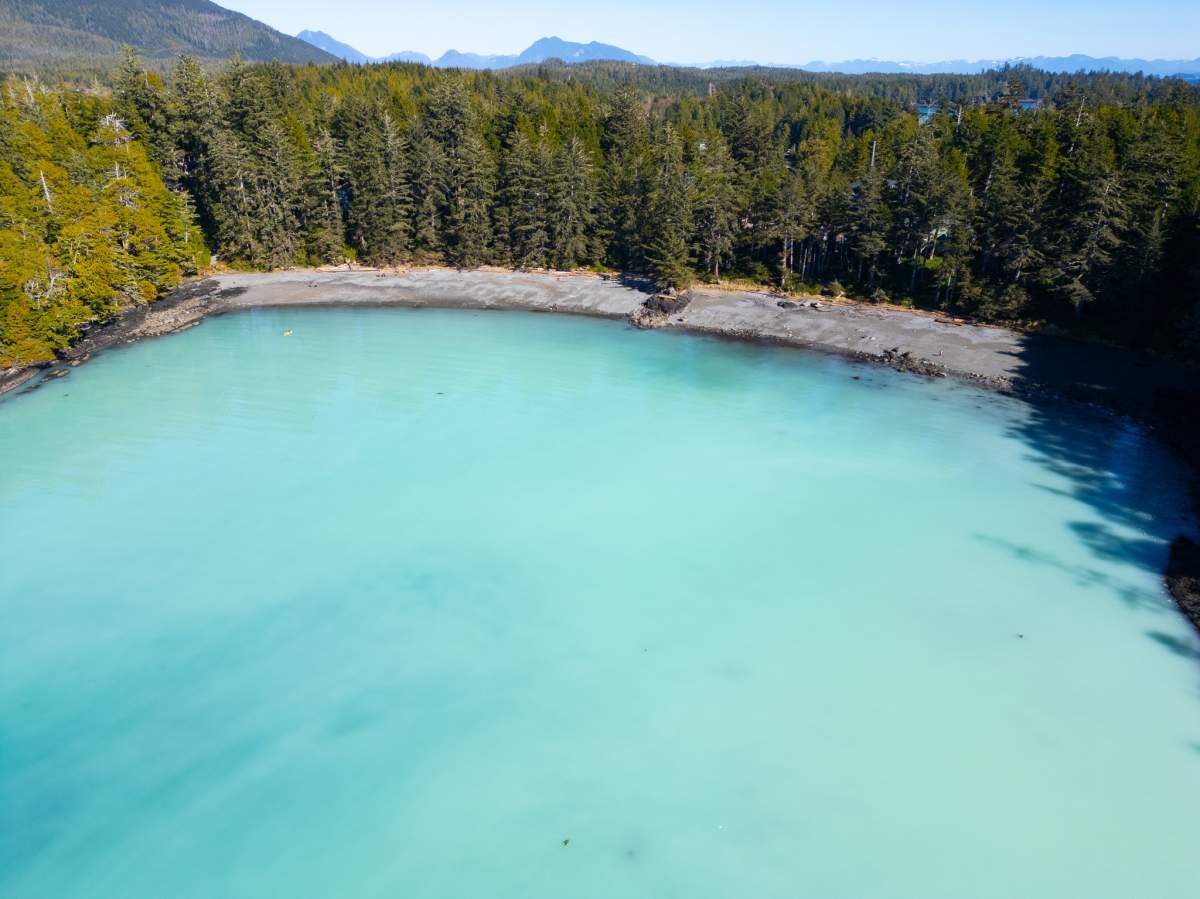 A look at the herring spawn off the coast of Vancouver Island - turning the water a stunning blue.