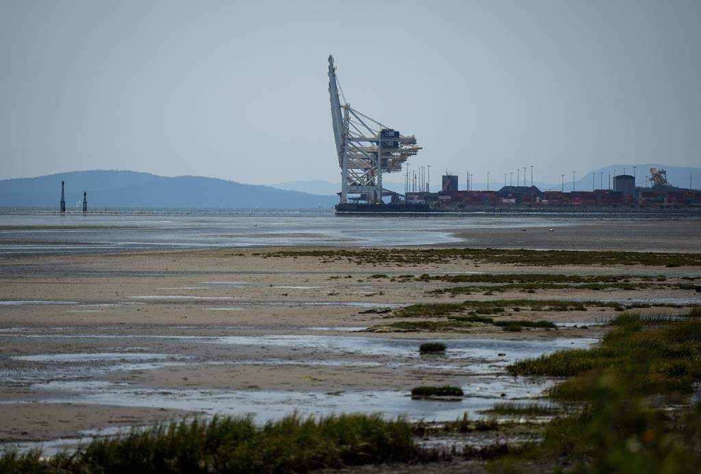 The B.C. company that operates Canada's largest container terminal is going to court against the federal government to keep five years worth of greenhouse-gas emissions data from the facility secret. Gantry cranes used to load and unload cargo containers from ships sit idle at Global Container Terminals at Deltaport, in Delta, B.C., Friday, July 7, 2023. THE CANADIAN PRESS/Darryl Dyck.