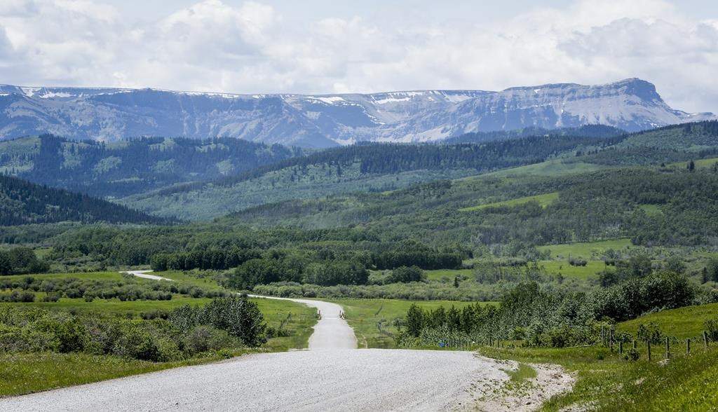 A section of the eastern slopes south west of Longview, Alta., Wednesday, June 16, 2021.