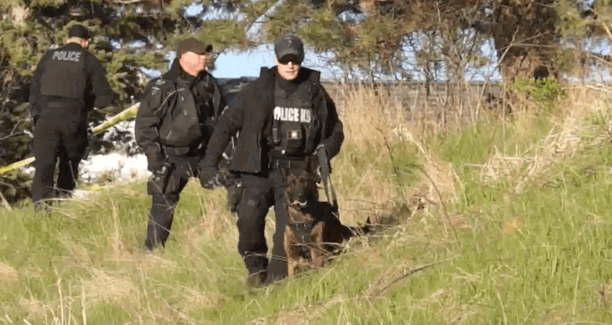 Police use the canine unit to help look for a shooting suspect in the Crystal Drive area.