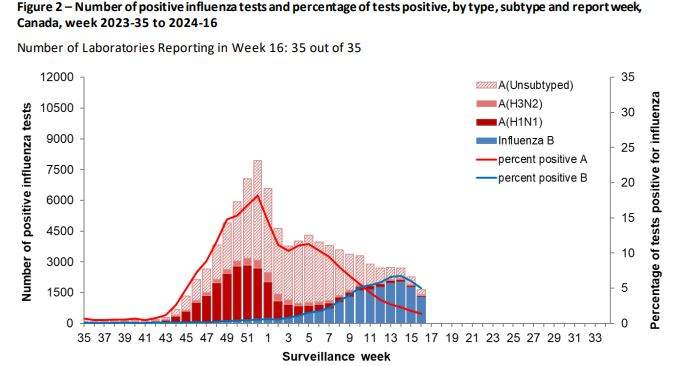 As flu season fades, spring and summer viruses emerge. What are they? - image