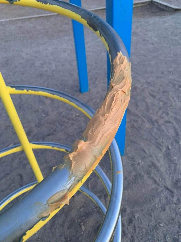Students smear peanut butter on Toronto school playground in ‘misguided’ prank attempt - image