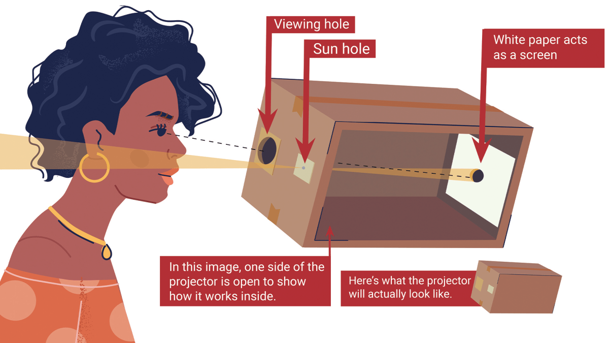 A pinhole projector will allow you to observe the total solar eclipse.