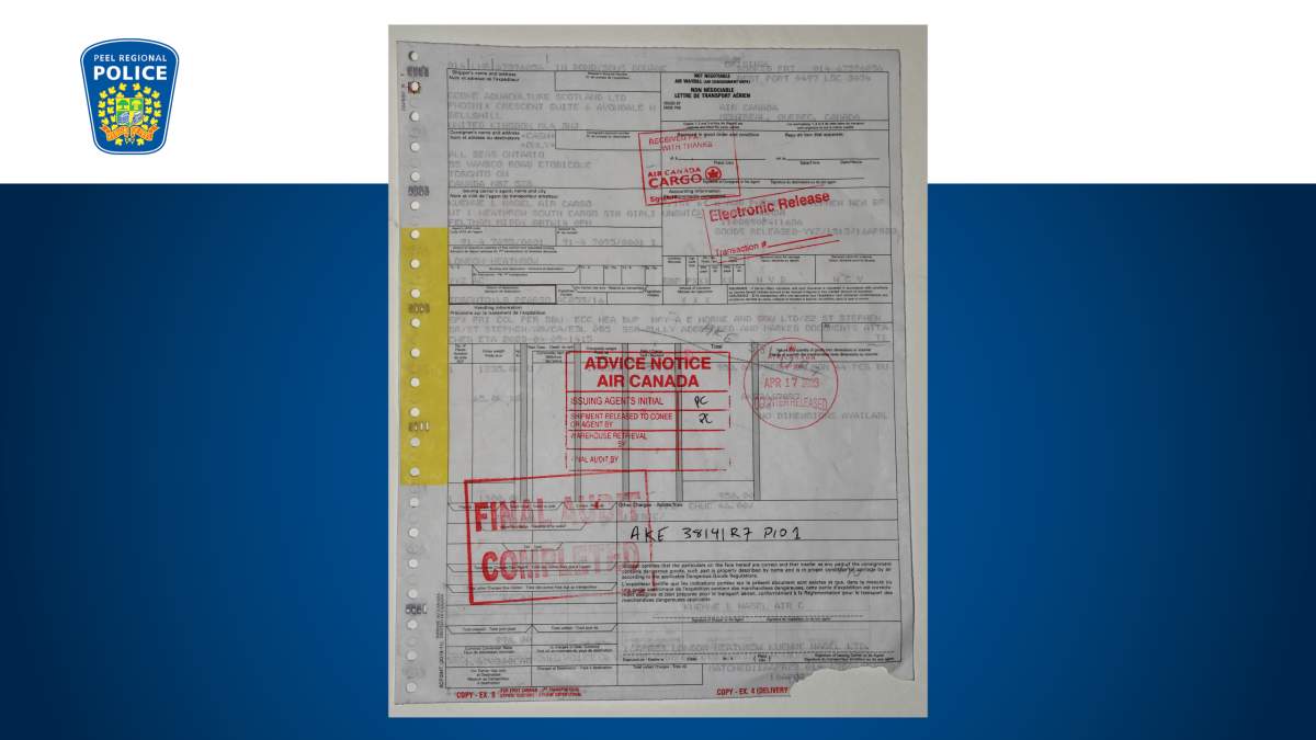 Toronto Pearson gold heist