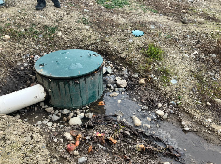 Effluent is discharged from a failing wastewater treatment system at Sander Fruit Packers in Kelowna, B.C.