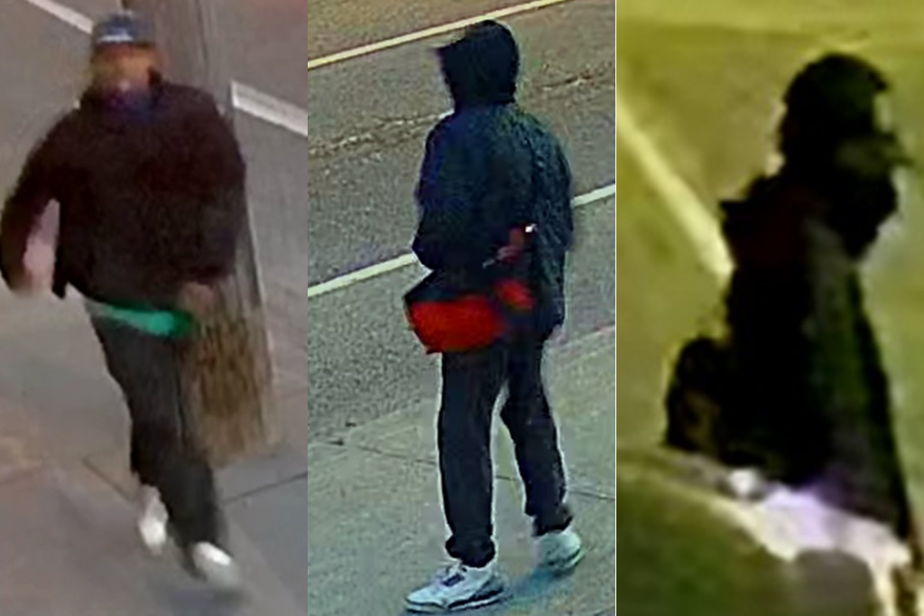 suspects sought in Toronto arson investigation