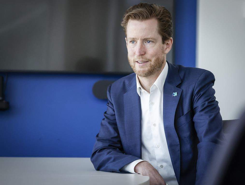 WestJet CEO Alexis von Hoensbroech is calling for the federal government to review its fee structure.