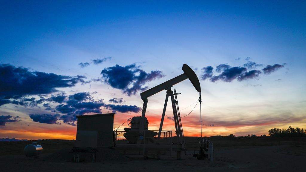 A pumpjack draws out oil from a well head near Calgary, Alta.