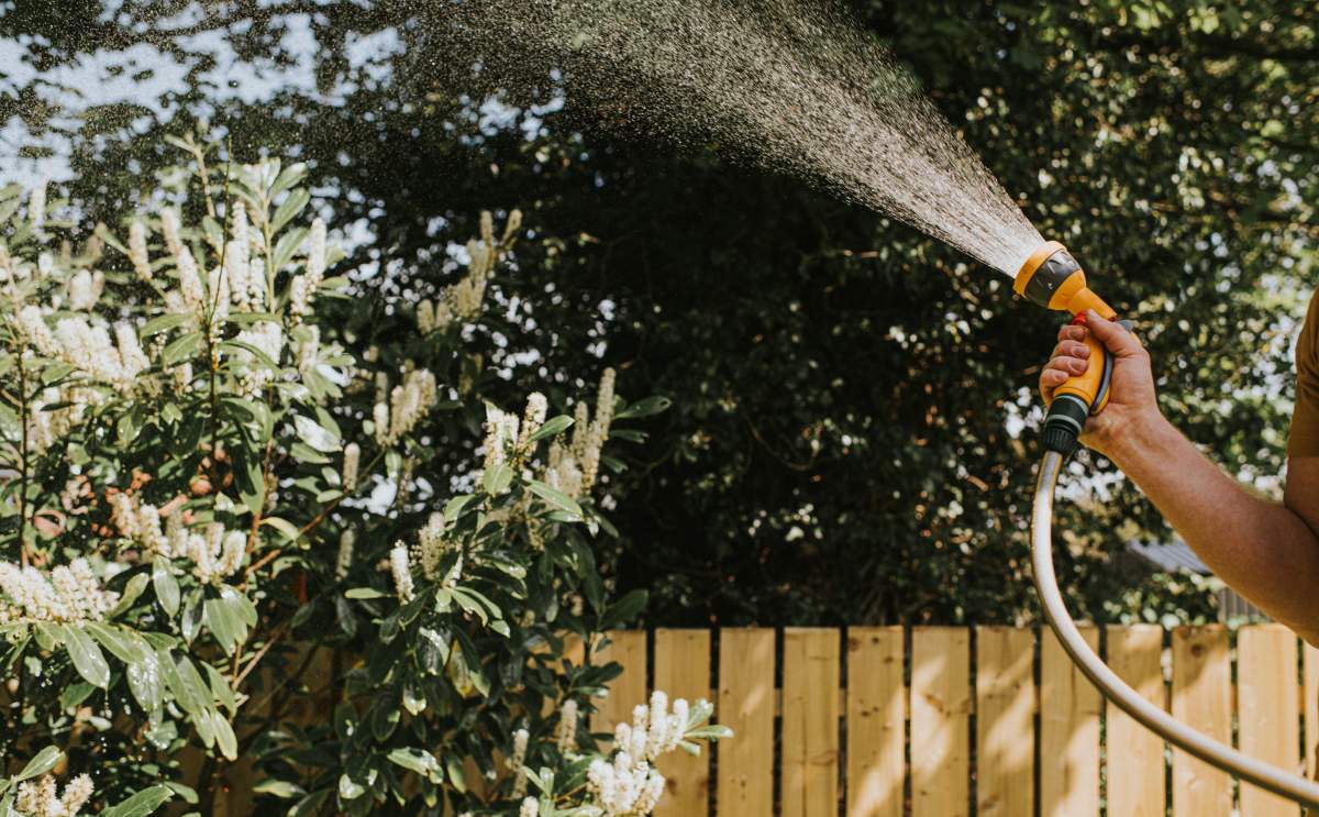 Best lawn and garden watering tools