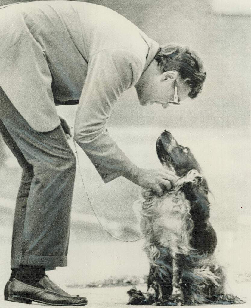 Peter Demeter stoops to pet his dog at his murder trial.