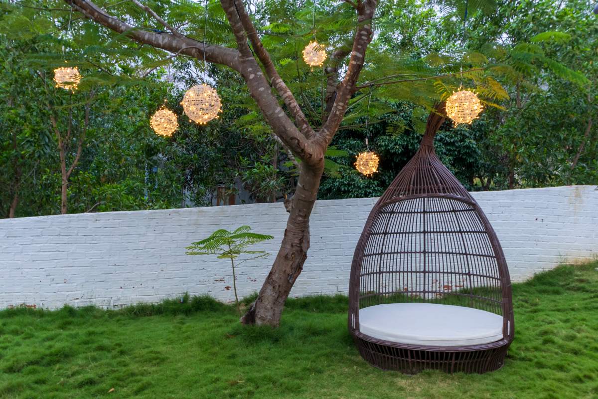 Unique backyard lights hanging from tree