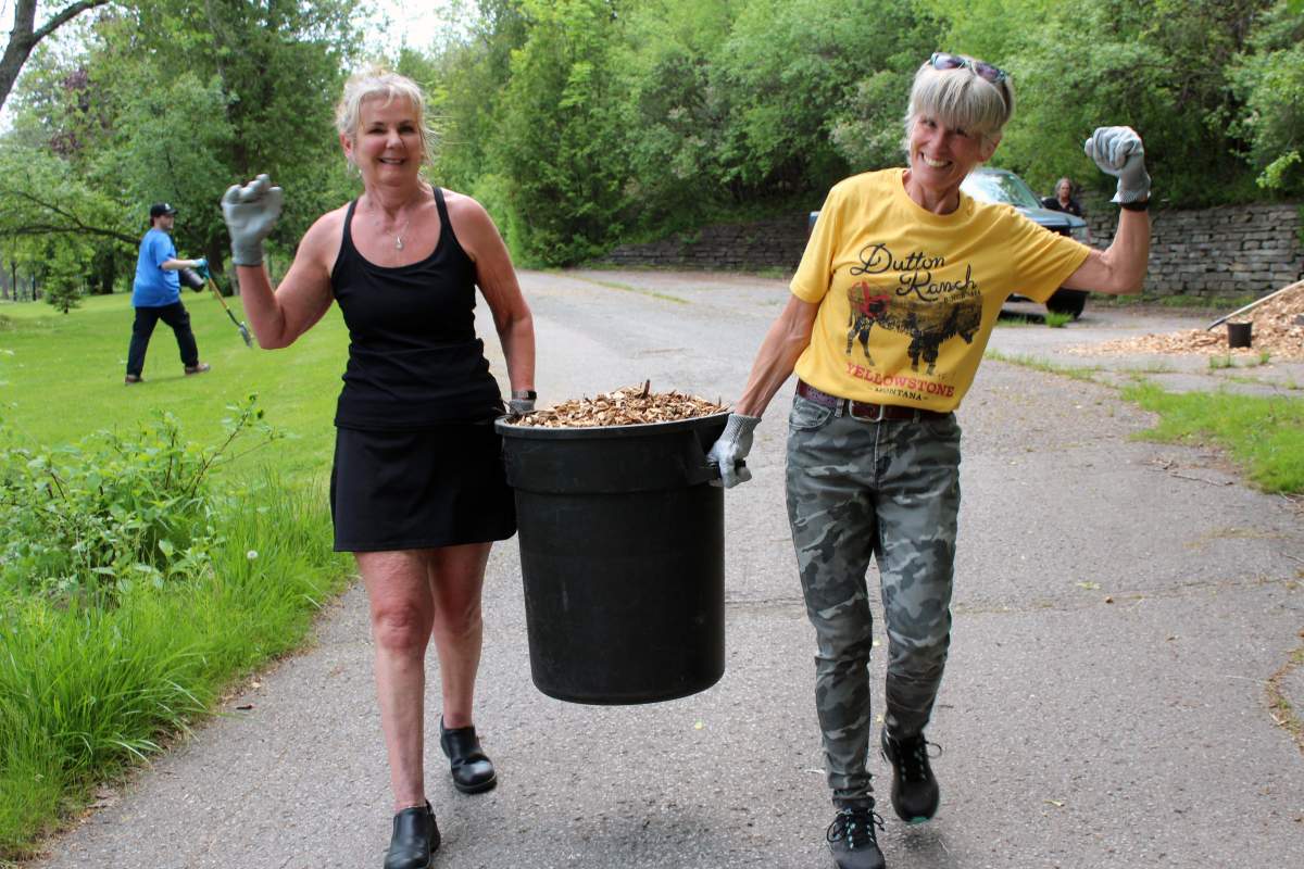 A bucket of mulch is carried during a tree planting session at the Riverview Park and Zoo in Peterborough, Ont., on May 22, 2024.