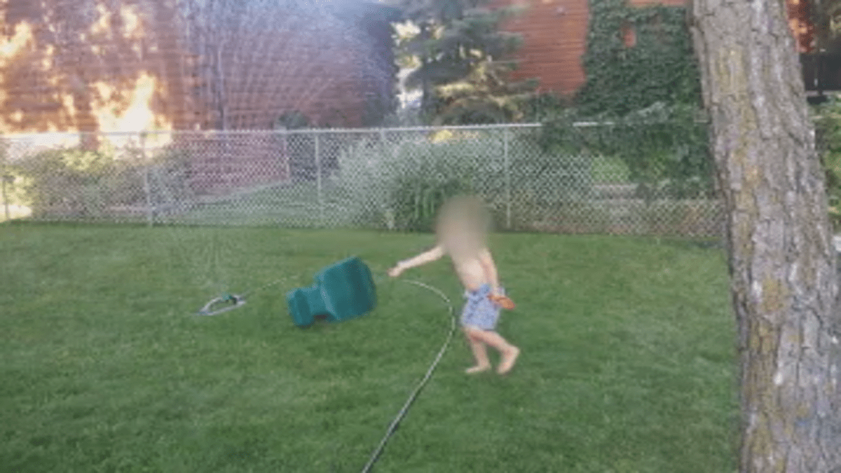Picture of backyards with similar grade.