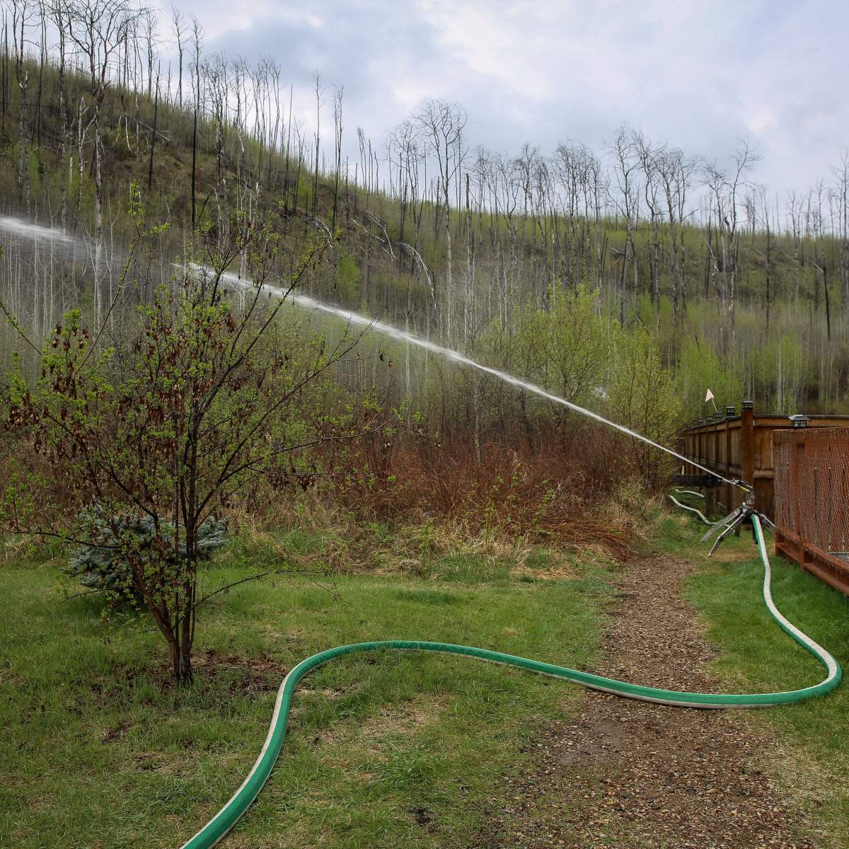 Alberta Wildfire said Friday, May 17, 2024 that structure protection has been completed in the Abasand, Prairie Creek and Beacon Hill neighbourhoods, as well as on the Rickards Landing Industrial Park, Gregoire Lake Estates and Gregoire Lake 176.