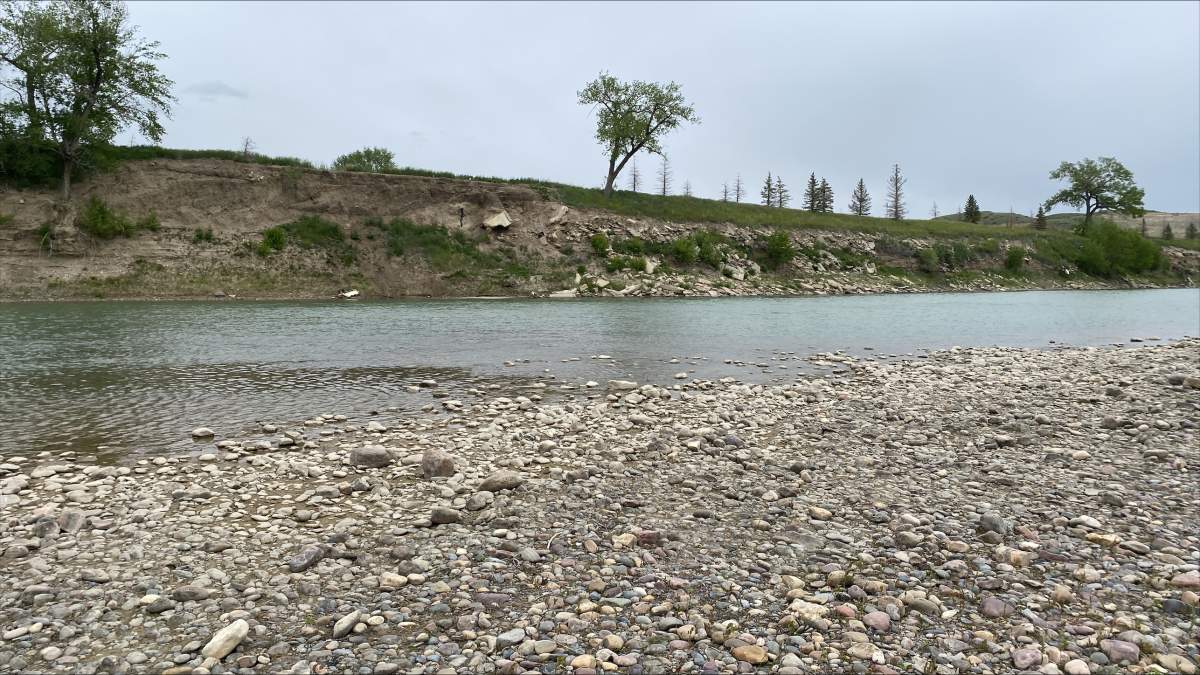Police in Lethbridge, Alta., are investigating the death of a 27-year-old man after he drove his vehicle into the Old Man River.