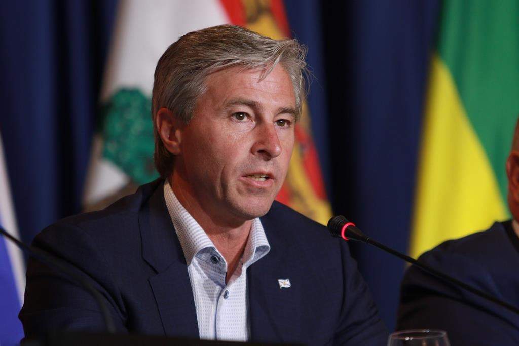 A Nova Scotia judge has ruled the province’s top election official should not have ordered the Liberal Party to remove campaign signs during a byelection last year. THE CANADIAN PRESS/Chad Hipolito.