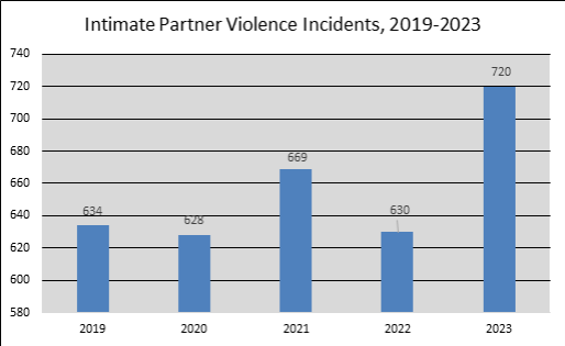 Intimate partner violence incidents in Saskatoon between 2019 and 2023.