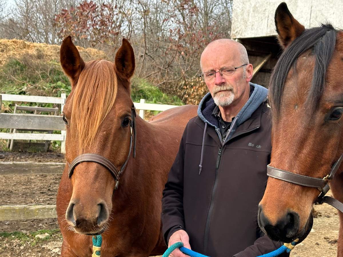 A couple of the horses seized from the farm are pictured here with Tony Porter, Chief Animal Officer with the NBSPCA.