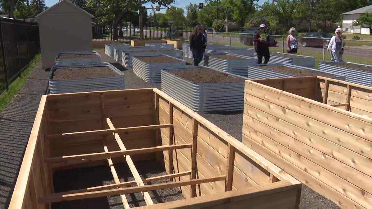 The accessible planter boxes at the Thorncliffe-Greenview Community Association, which recently were victims of soil theft.