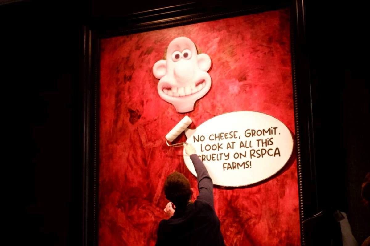 This photo released by Animal Rising shows an activist pasting a picture of a character called Wallace, from the “Wallace and Gromit” comedy series, over a portrait of Britain’s King Charles III at the Philip Mould Gallery in London, Tuesday June 11, 2024. Animal rights activists pasted a cartoon image over a portrait of King Charles III on Tuesday at a London art gallery, the latest in a series of incidents at U.K. museums as campaigners use vandalism to publicize their causes.