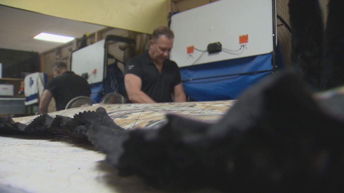 Furkalo working on a bear rug in his Dauphin taxidermy shop.