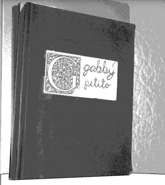 One of Gabby Petito's notebooks that was seized by FBI.