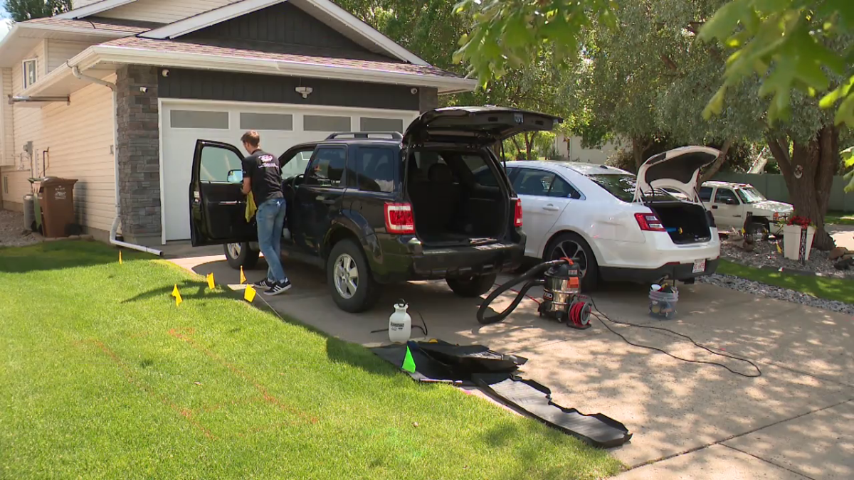 Liam Grant, 18, started Heritage Auto Detailing in April 2023. With a passion for cars and cleaning, it began as casual jobs here and there, detailing his family and friends’ vehicles.