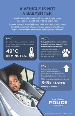 Edmonton police unattended vehicles