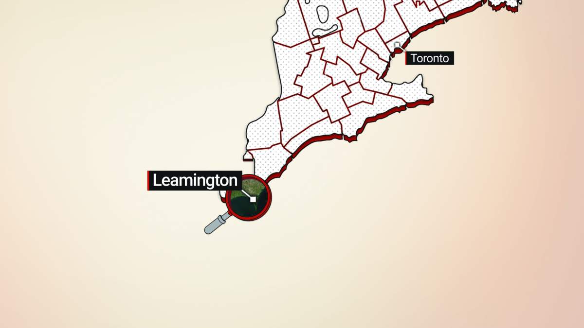 A map highlighting Leamington, Ont.