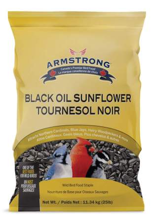 Black Oil Sunflower Seed