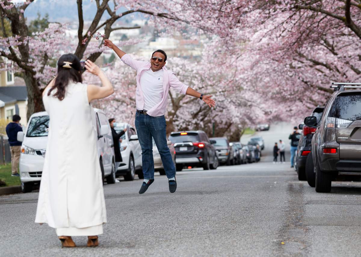 VANCOUVER, BRITISH COLUMBIA - APRIL 02: A man poses for a photo in the street during Cherry Blossom season on April 02, 2021 in Vancouver, British Columbia, Canada (Photo by Andrew Chin/Getty Images)
