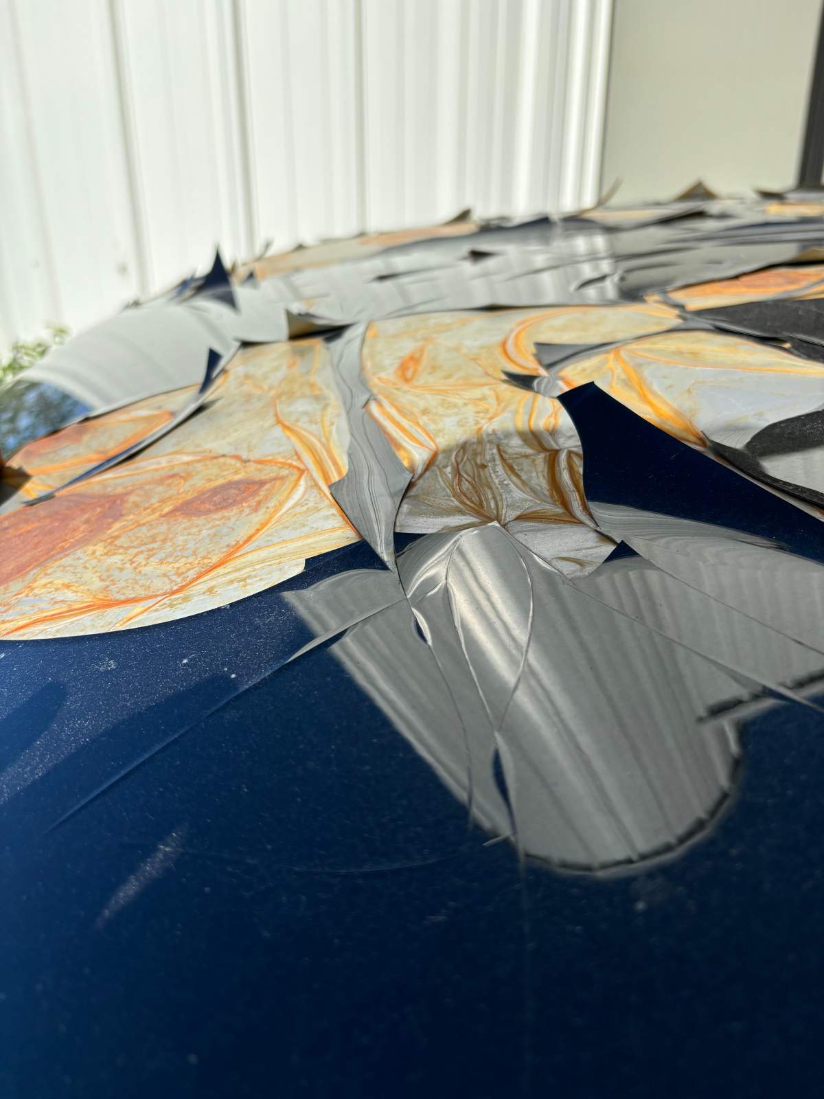 Roof of Wade Adams’ Ram 1500 truck