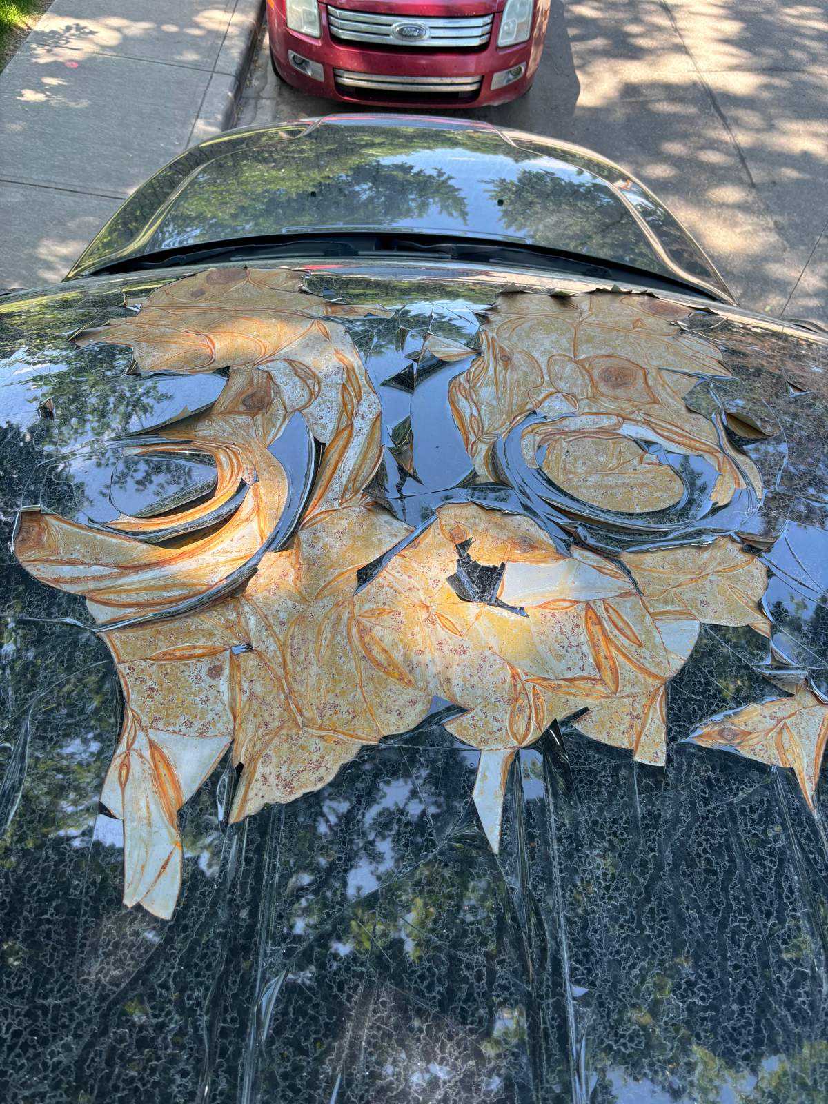 Roof of Ram 1500